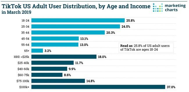 age and income of tiktok users