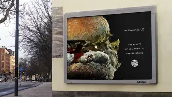 Creatives in Advertising: Bold Visuals